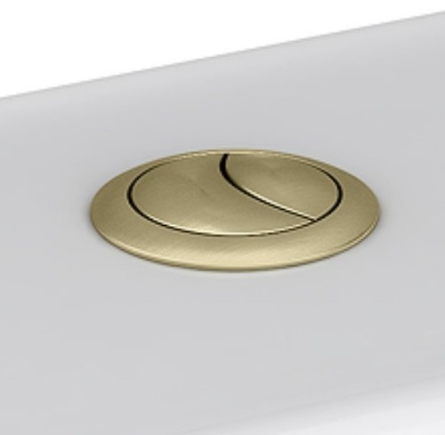 Arezzo brushed brass cistern - brushed,