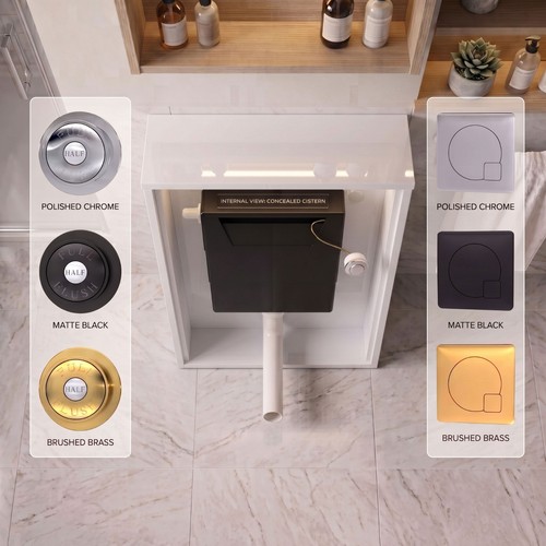 Dual flush concealed cistern - flush,