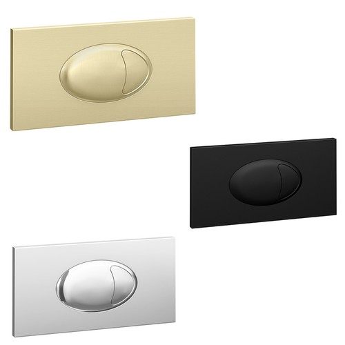 Dual flush plate push - push, button