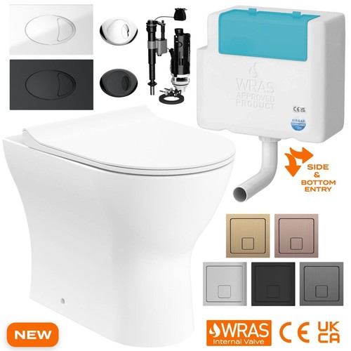 Back wall toilet rimless d - to,